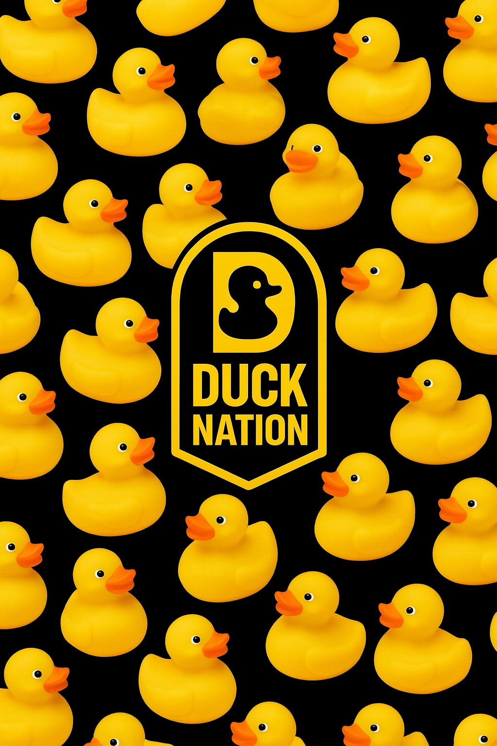 Ducks, Ducks & more Ducks
